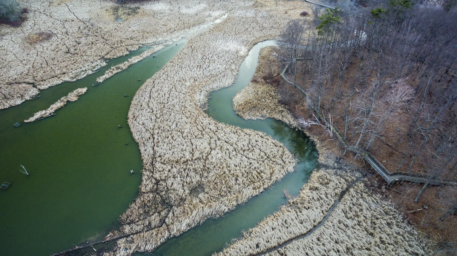 Aerial view of Rattray Marsh near Lorne Park, Mississauga